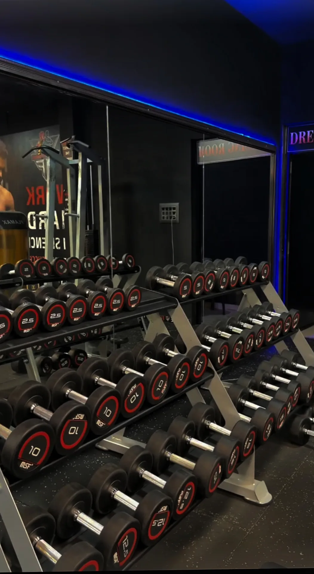 Strength training and free weights area in Future Fitness Kaup